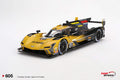 Cadillac V-Series.R #01 "Cadillac Racing" 2nd Place "12 Hours of Sebring" (2024) 1/18 Model Car by Top Speed